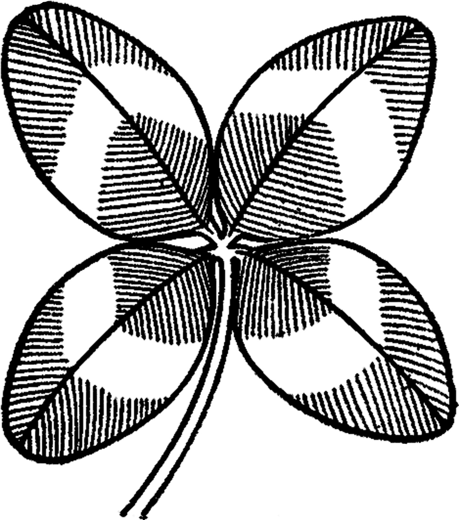 1587x1800 Vintage Four Leaf Clover Image Leaf Clover, Leaves And Graphics