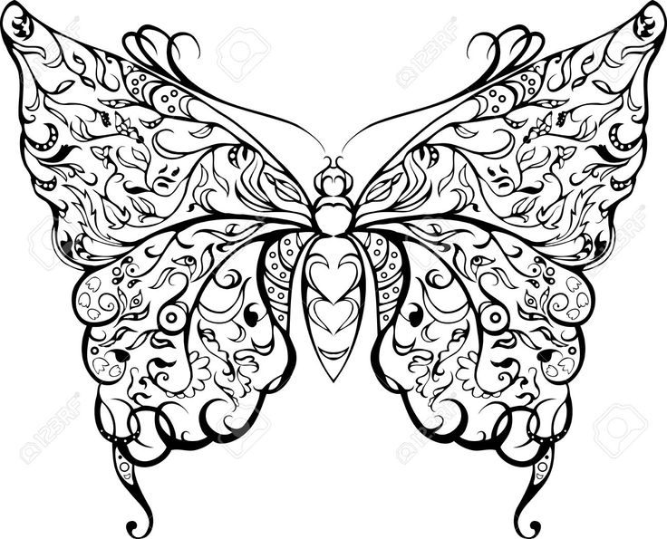 736x595 32 Best Butterflies Images On Butterflies, Butterfly