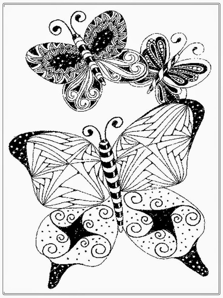 736x981 3828 Best Butterflies, Dragonflies Images On Coloring