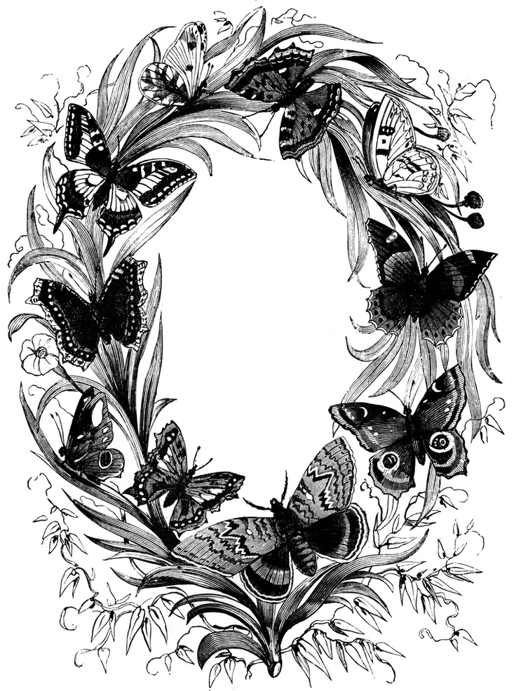 736x985 96 Best Vintage Clip Art Images On Vintage Clip Art