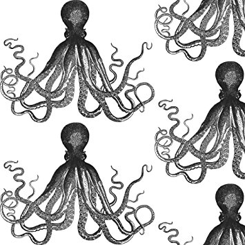 Vintage Octopus Drawing