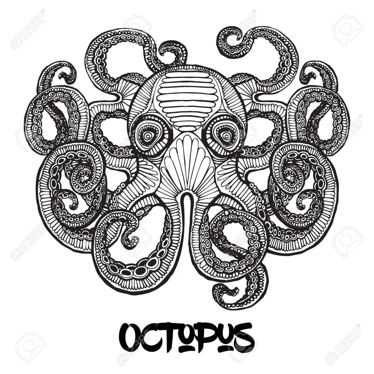 1300x1300 Giant Octopus