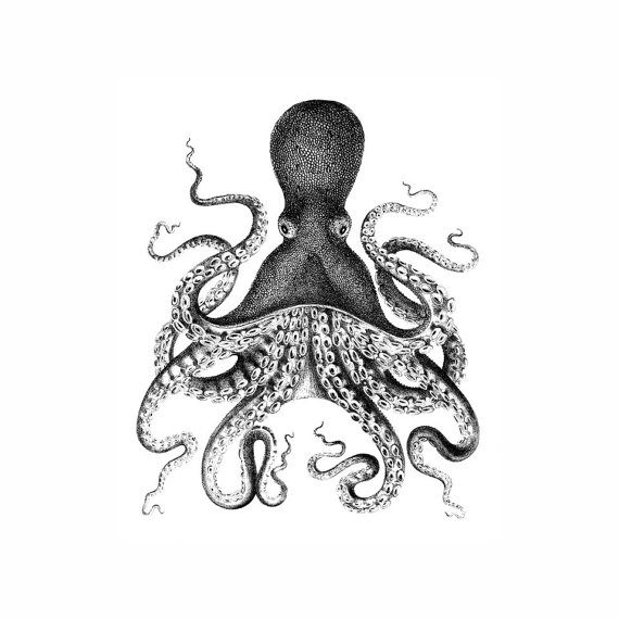 570x570 Octopus Nautical Vintage Style Art Print Black And White Grey