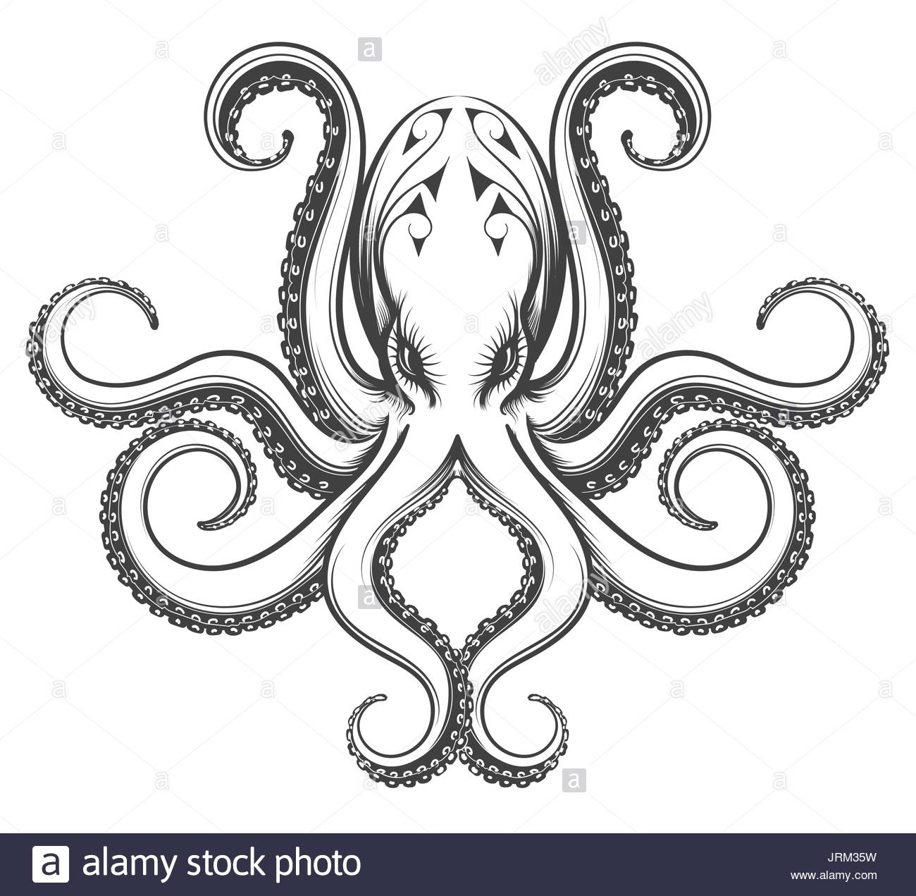 Vintage Octopus Drawing at GetDrawings | Free download