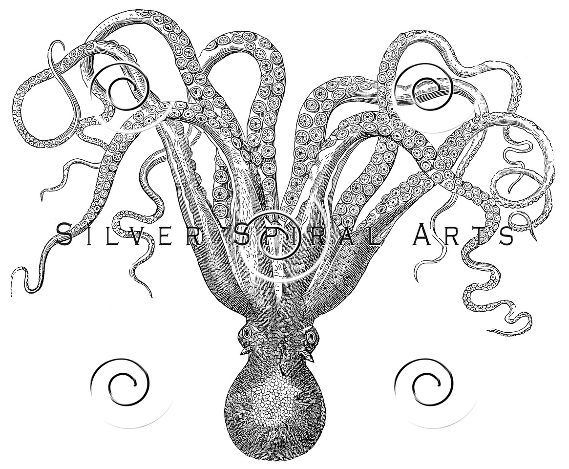 1165x960 Royalty Free Stock Vintage Illustrations Photo Keywords Marine