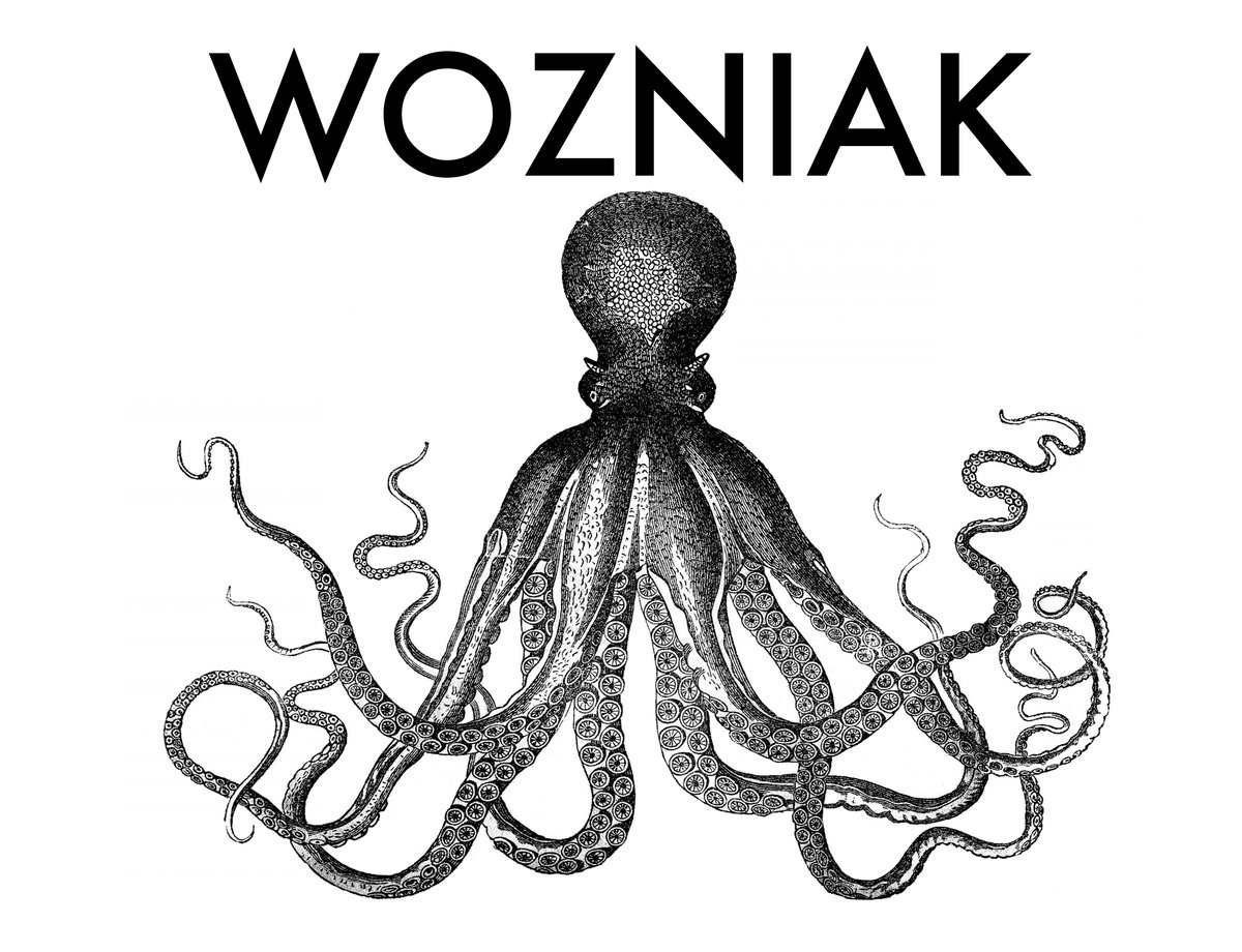 1200x920 Shader Wozniak