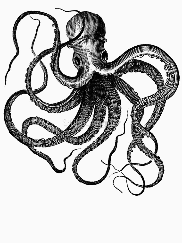 Vintage Octopus Drawing At Getdrawings Free Download