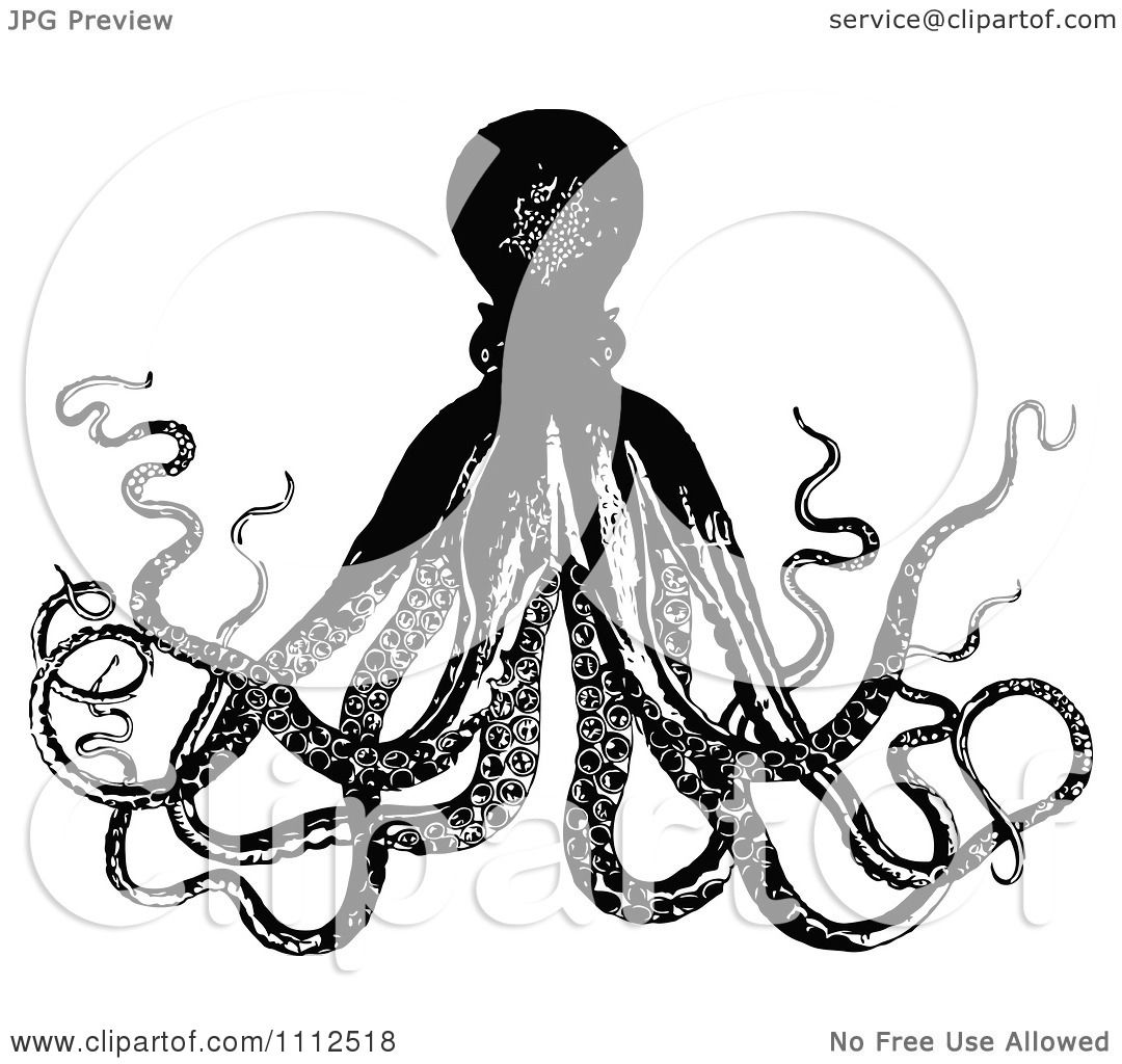 1080x1024 Clipart Vintage Black And White Octopus 1