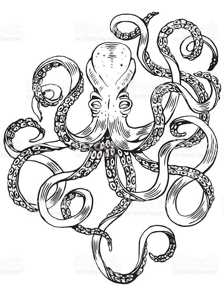 Vintage Octopus Drawing at GetDrawings | Free download