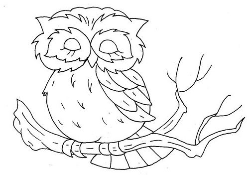 500x351 Embroidery Pattern Coloring Pages Embroidery, Owl