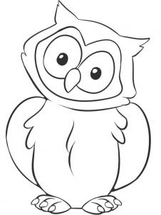 226x302 How To Draw A Owl, Step By Step, Birds, Animals, Free Online