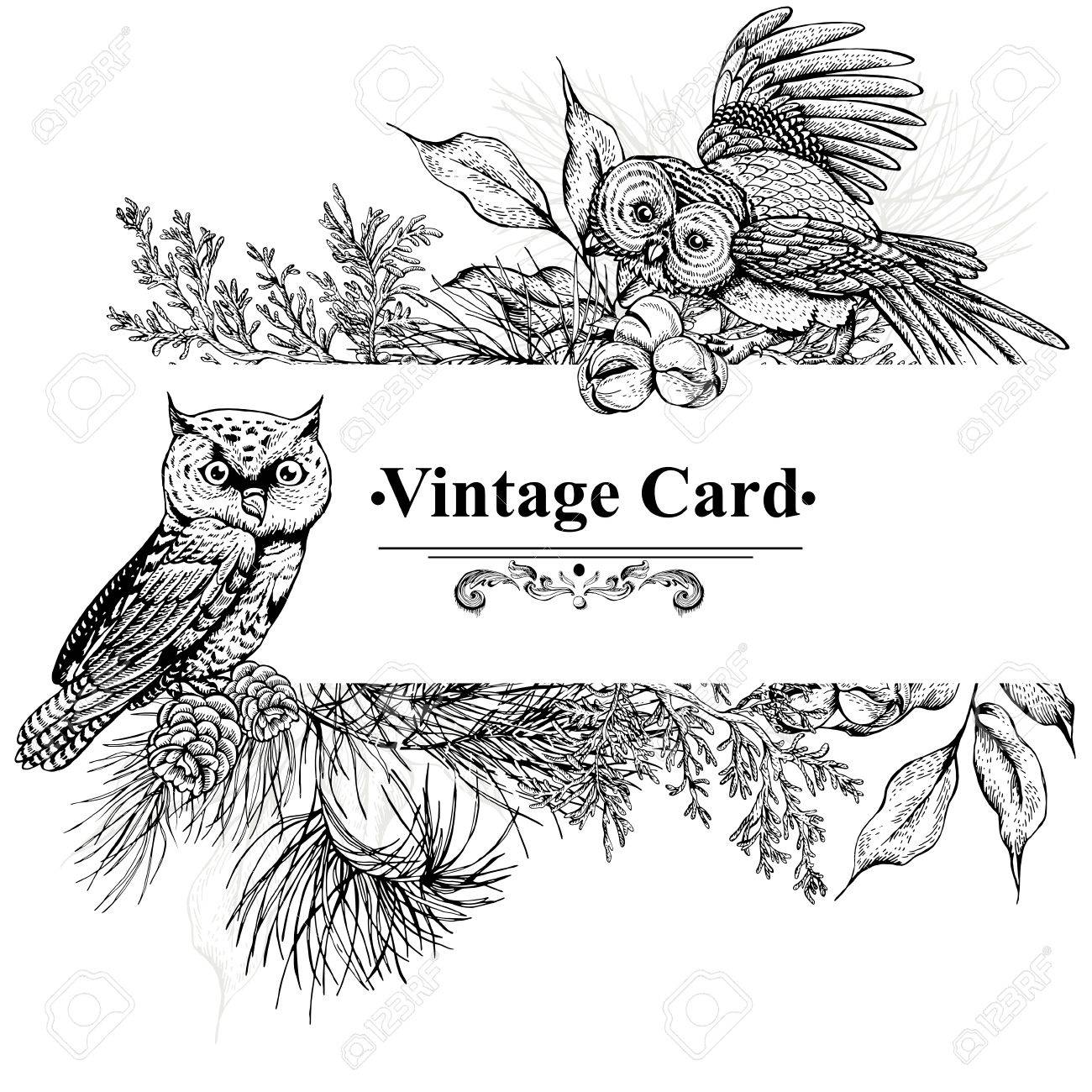 1300x1300 Monochrome Vintage Greeting Card With Owls, Spruce Branches