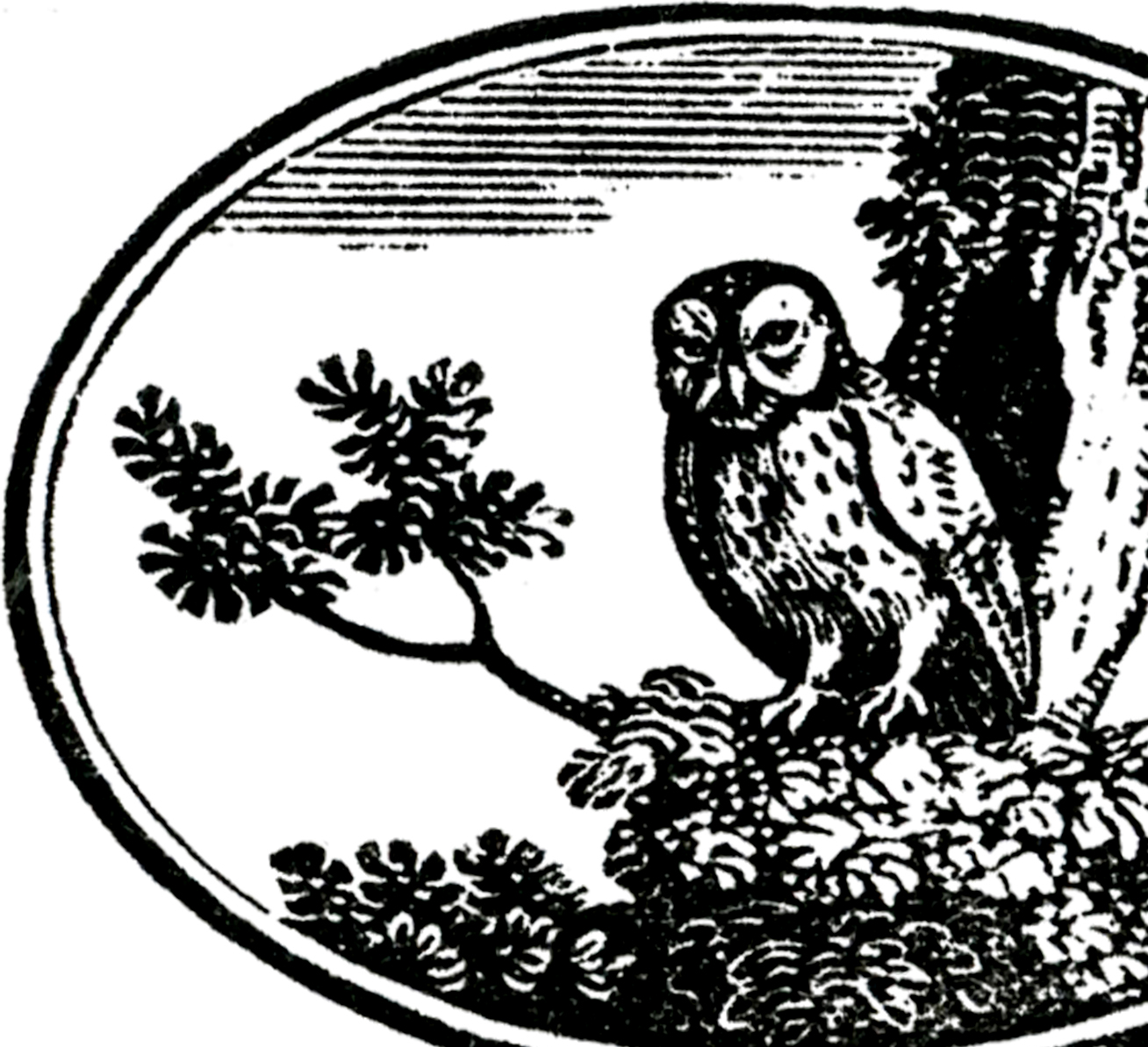 1308x1194 Vintage Owl Label