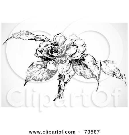 450x470 Royalty Free (Rf) Clipart Illustration Of A Black And White