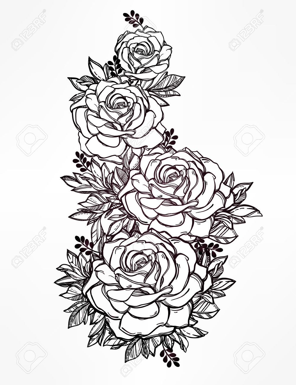 1000x1300 48005636 Vintage Floral Highly Detailed Hand Drawn Rose Flower