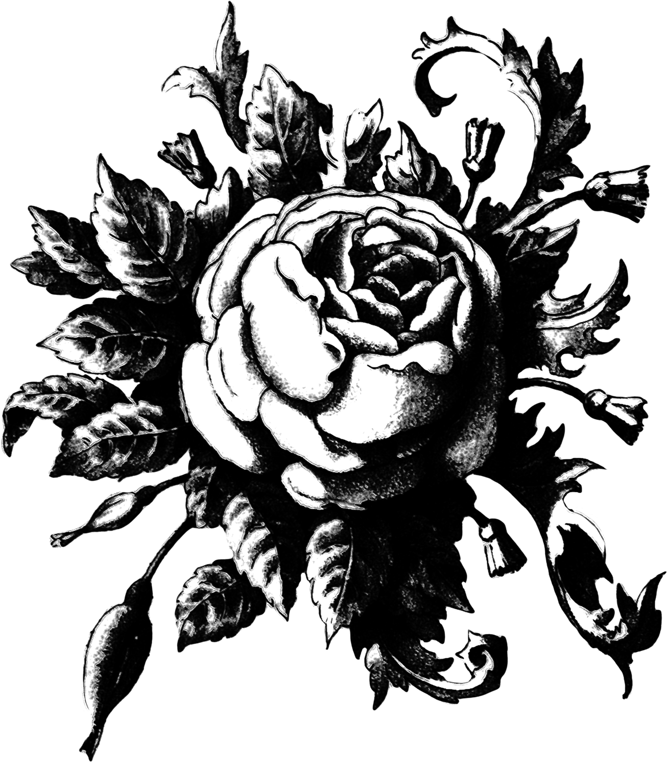 1306x1493 The Graphic Addict Rose Transfer Reveal Free Vintage Graphics