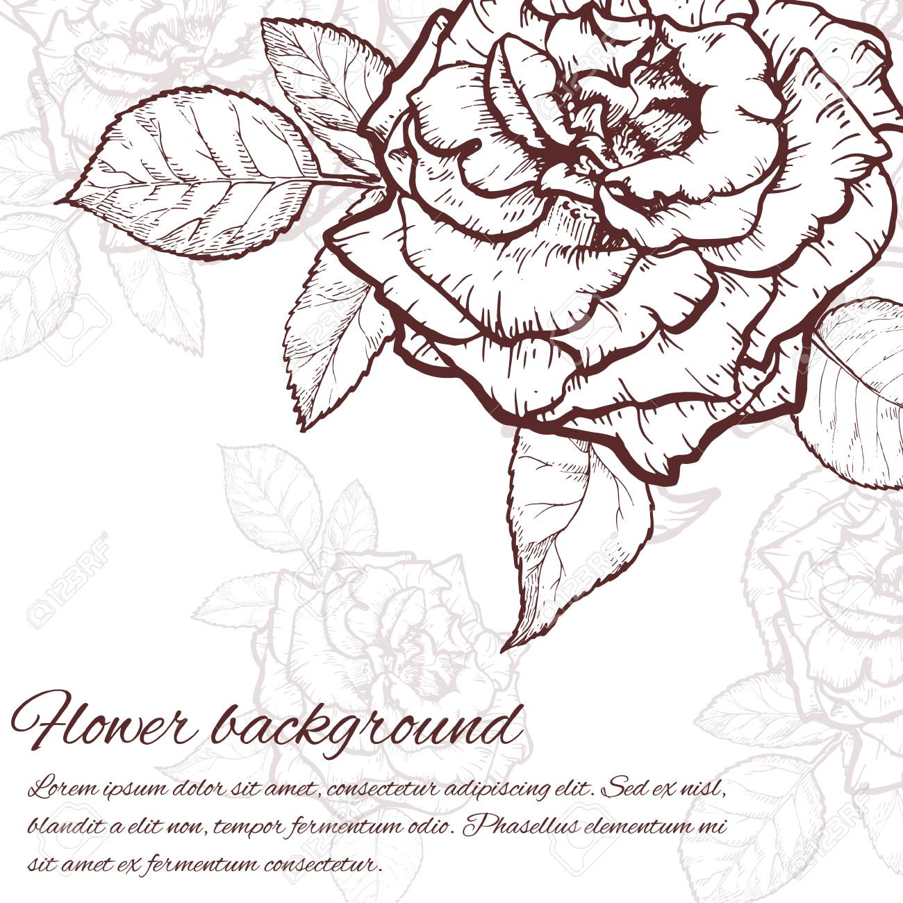 1300x1300 Vintage Rose. Hand Drawn Vector Illustration Background. Royalty