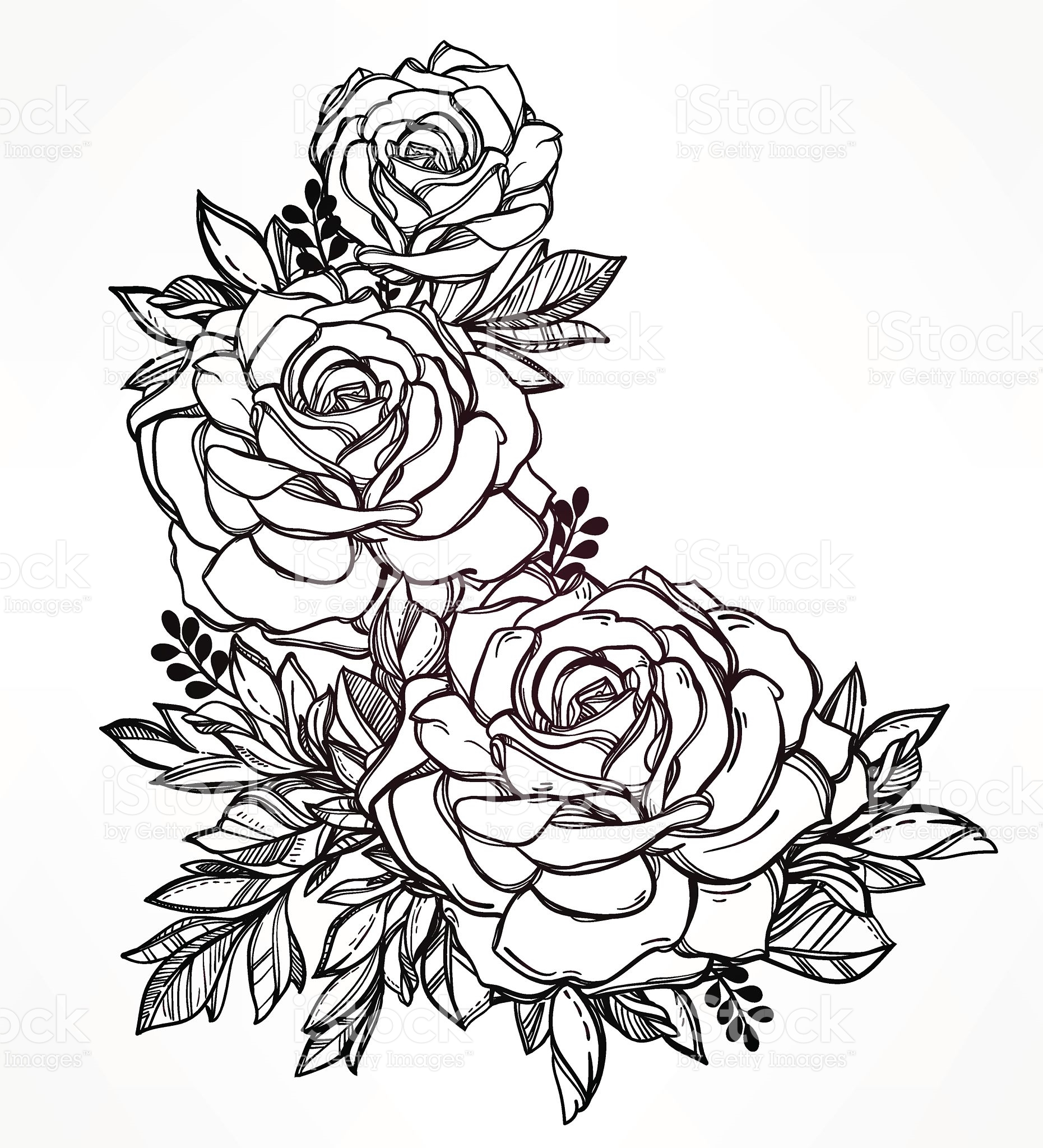 1861x2048 Vintage Floral Highly Detailed Hand Drawn Rose Flower Stem