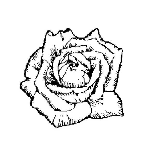 614x629 Buy Waterproof Temporary Fake Tattoo Stickers