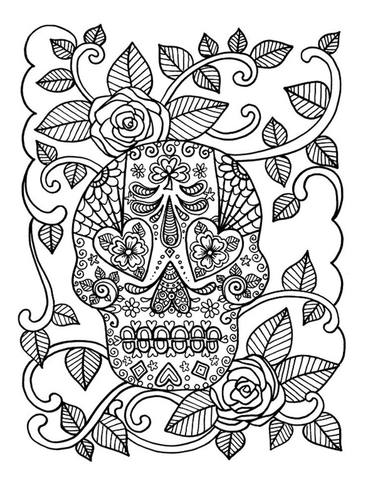 Vintage Skull Drawing