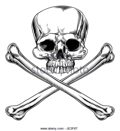 494x540 Skull Illustration Vintage Stock Photos Amp Skull Illustration