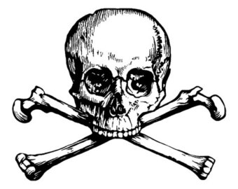 340x270 Steampunk Skull Etsy