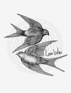 236x308 Birds Flying In The Sky Drawing Gallery Parrots