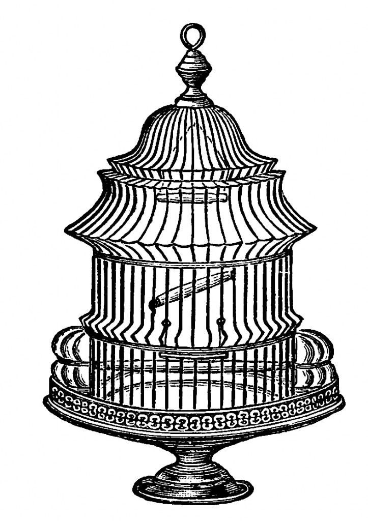 723x1024 Free Vintage Bird Cage Clip Art Image No. 2 Ideas For The House
