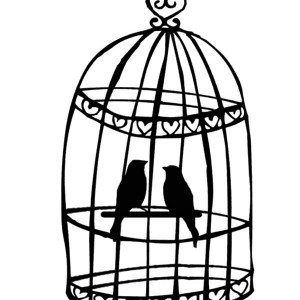 300x300 Vintage Bird Cage Coloring Pages Best Place To Color