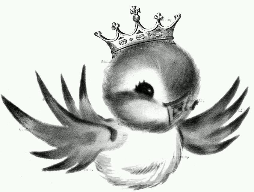 848x640 King Of The Birds Let There Be Art,books,movies,music