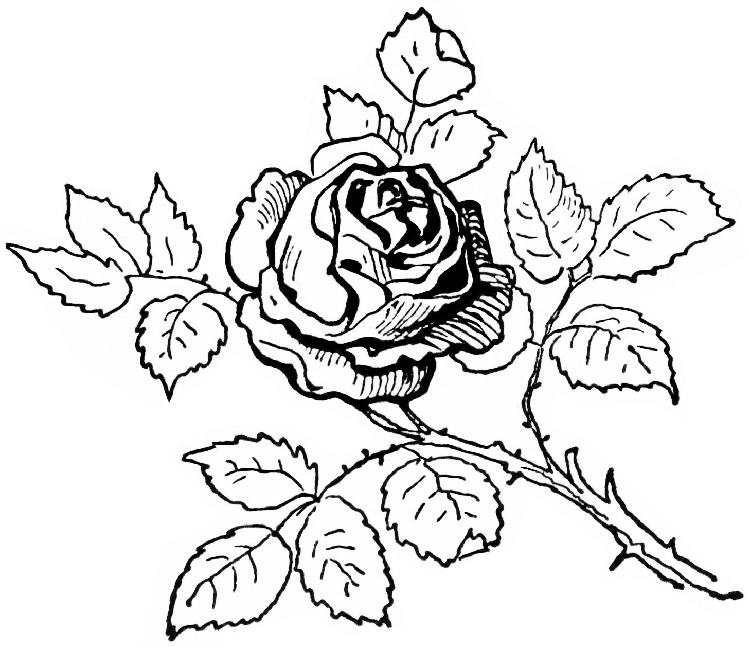 1458x1257 Draw Rose Tree Photo Vintage Roses Images Free Download Clip Art
