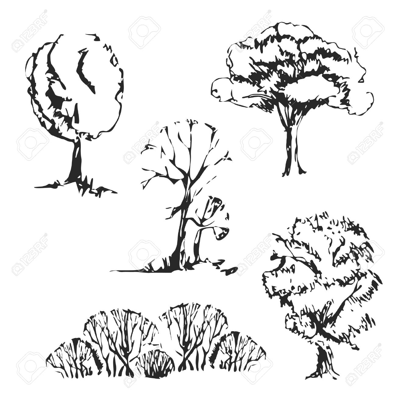 1300x1300 Hand Drawn Trees Set. Isolated And Vintage Sketch Trees. Royalty