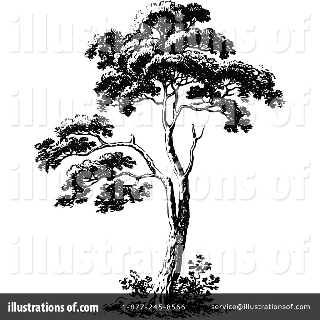 1024x1024 Tree Clipart