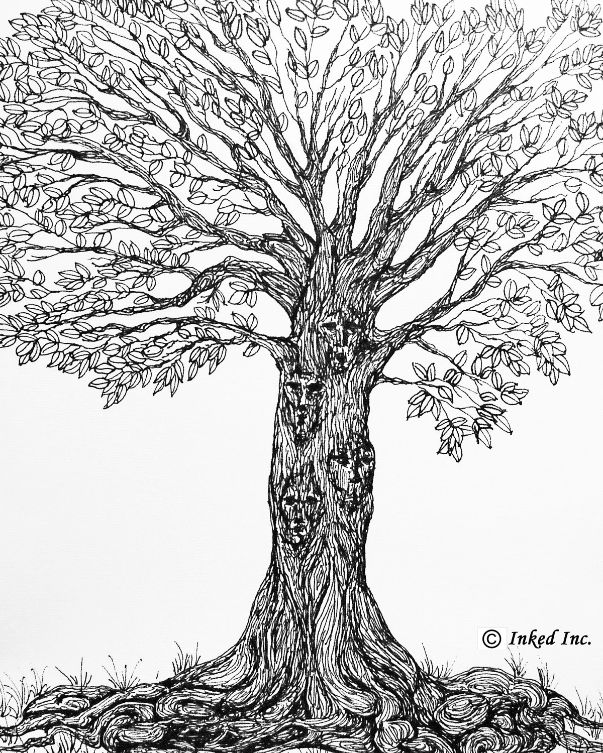 1200x1500 Vintage Tree Drawing