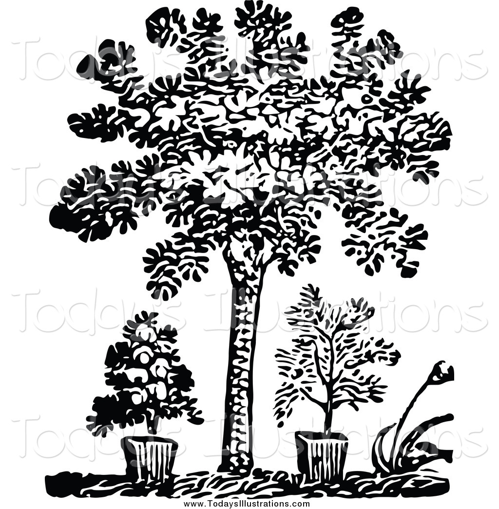 1024x1044 Clipart Of A Black And White Tree And Potted Plants By Prawny