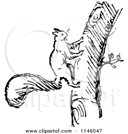 450x470 Clipart Of Retro Vintage Blacknd White Squirrel Climbing