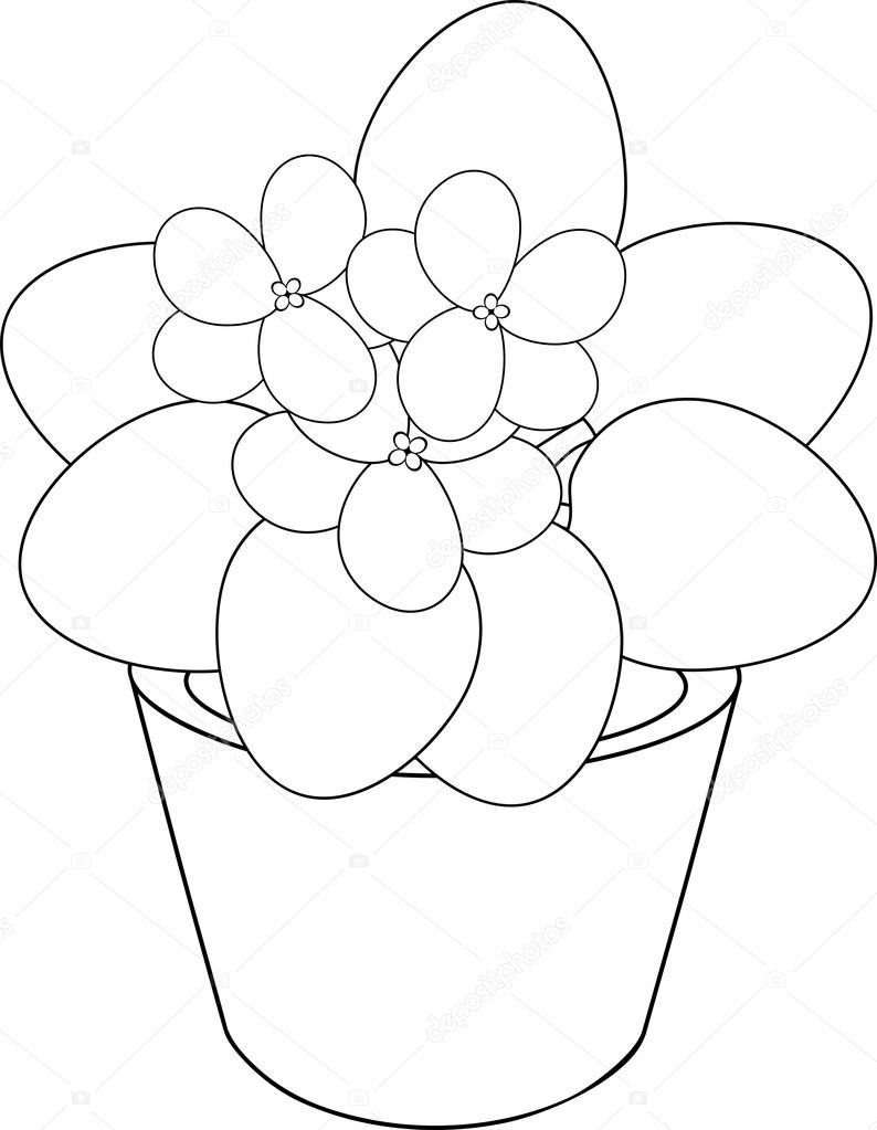794x1023 African Violet Flower In Pot Stock Vector Mariaflaya