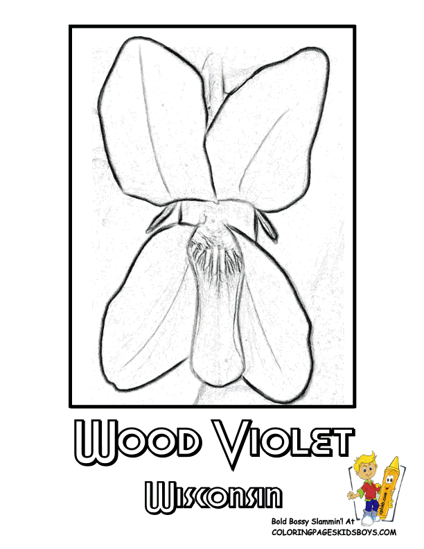 612x792 Tropical Flower Online Coloring Page. Flowersviolet Flower