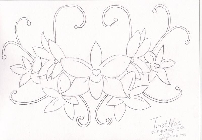 800x554 How To Draw A Violet Step By Step