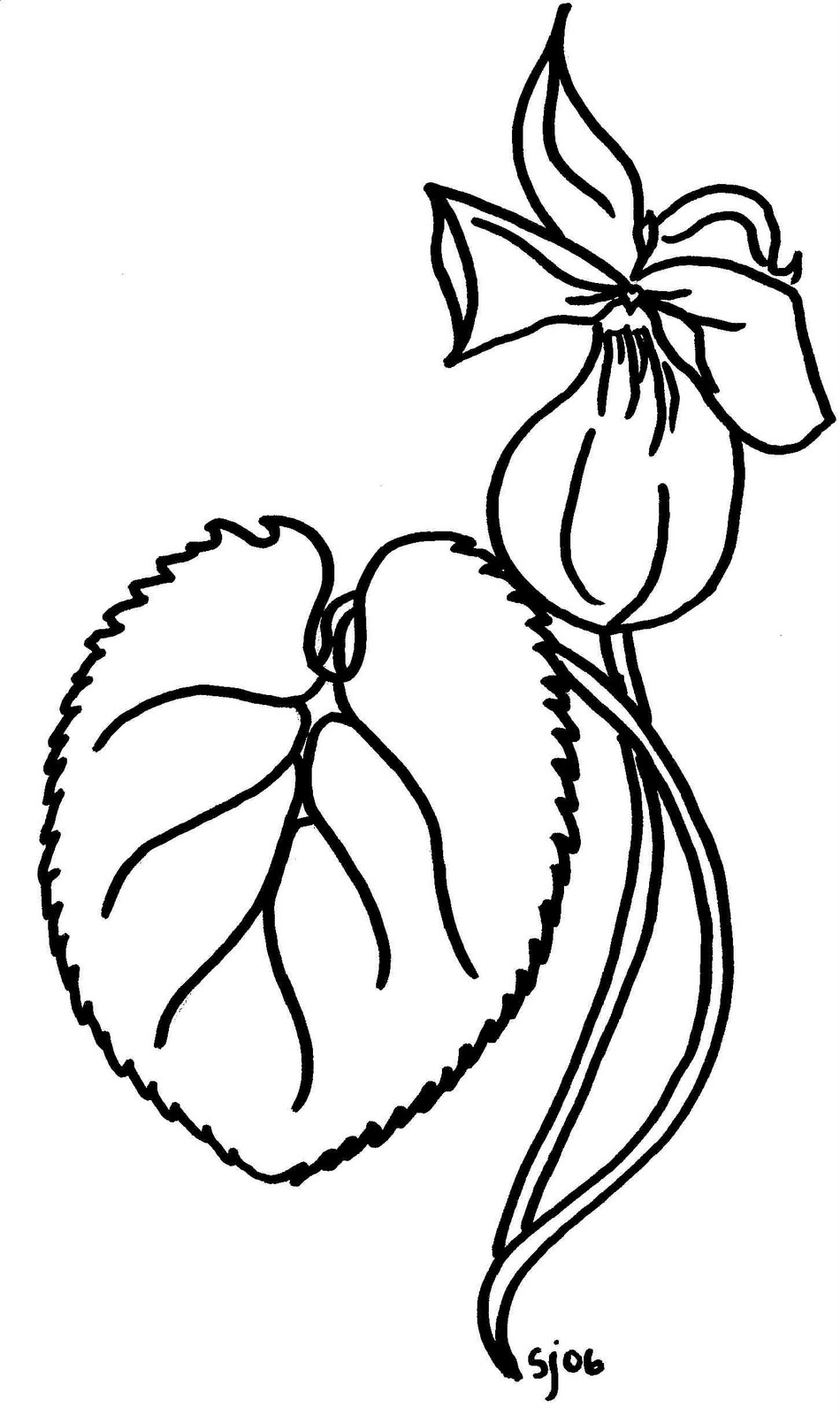 950x1600 Wild And Free Ultra Violets