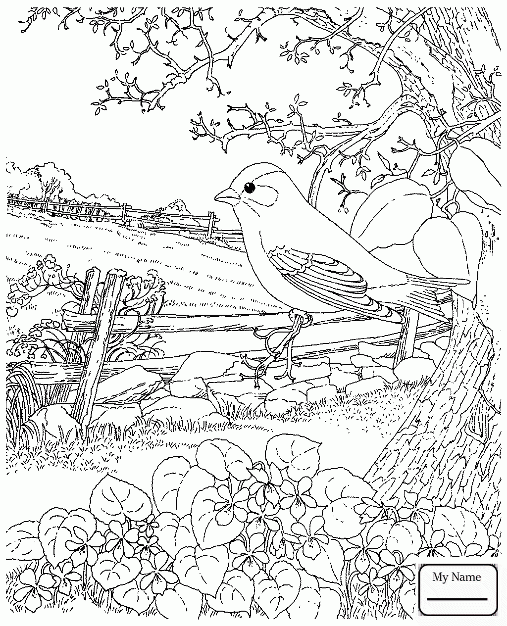 1024x1265 Coloring Pages For Kids Flowers Violet American Robin And Wood