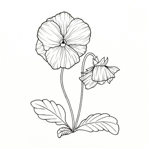 500x500 Violet Artwork Tumblr