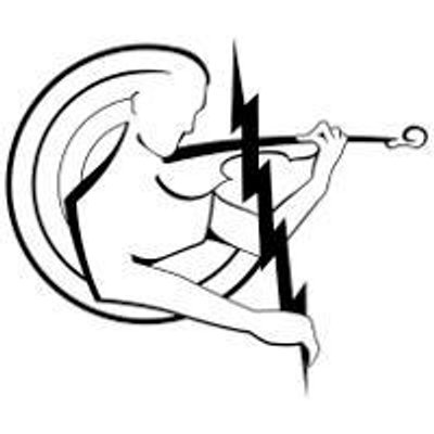 400x400 Electric Violin Shop (@electricvlnshop) Twitter