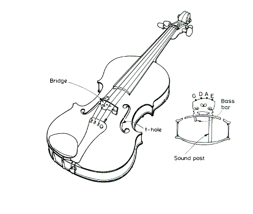 494x419 The Violin Bridge