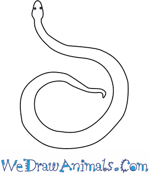 300x350 How To Draw An Orlov's Viper