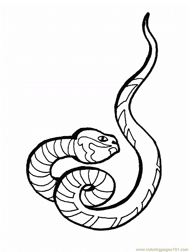768x1024 Snake Viper Coloring Page