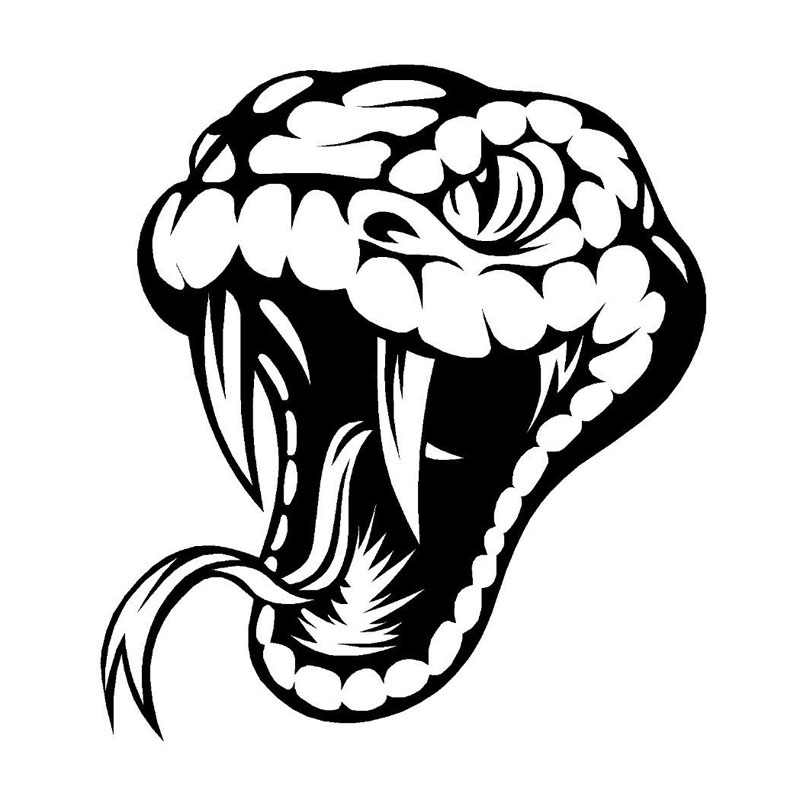 800x800 15.216.9cm Poisonous Reptile Cool Snake Head Car Stickers