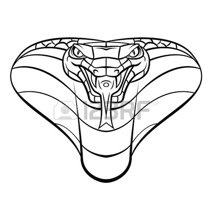 434x450 Snake Head Stock Photos. Royalty Free Business Images