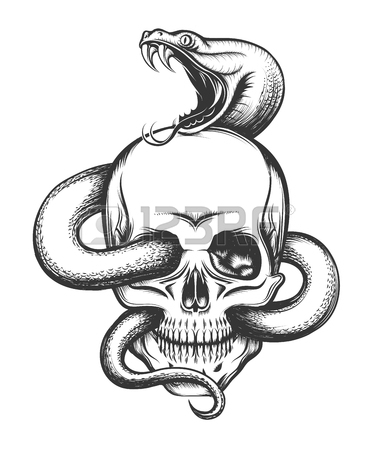 375x450 2,125 Snake Head Stock Illustrations, Cliparts And Royalty Free