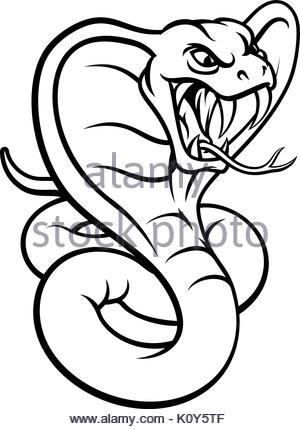 300x429 Cobra Viper Snake Attacking Cartoon Stock Photo 103099518